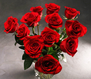 One Dozen Valentine Red Roses