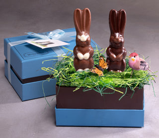 Chocolate Easter Bunny Duo in a Spring Box