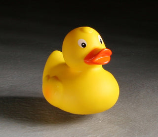 Rubber Duckie