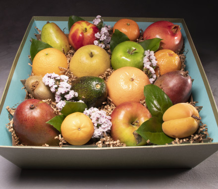 Savion Fruit Slices Gift Box 6oz (2 Pack) | Kosher for Passover